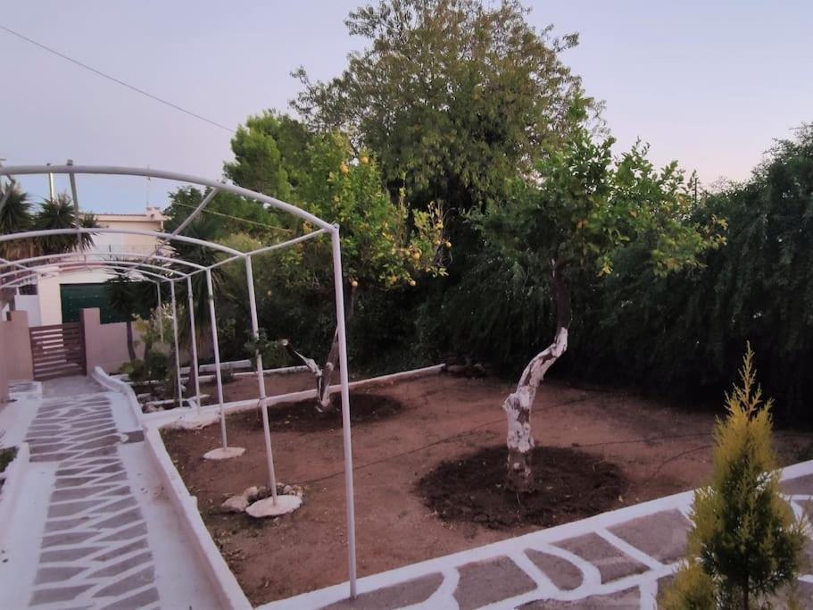 Penthouse Studio Next To The Sea Salamine Extérieur photo